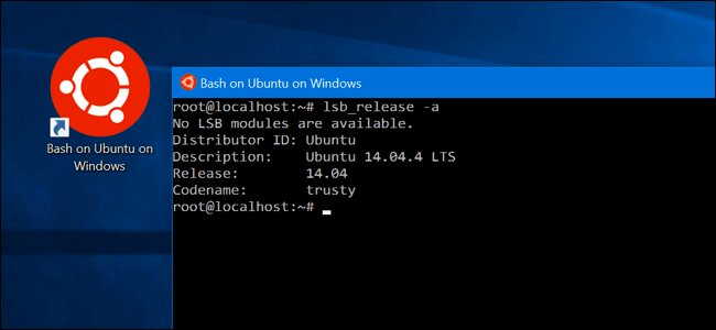 Bash de Linux en Windows